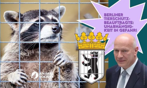 Offener Brief: Skandal um bedrohte Unabhängigkeit der Berliner Tierschutzbeauftragten