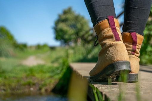 Wanderung zu den Gestütswiesen und zum Wildgehege