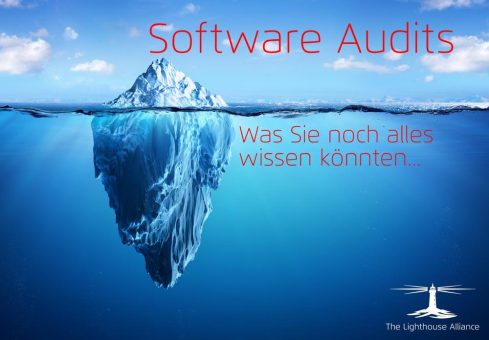 Software Audits – Was Sie noch alles wissen könnten…