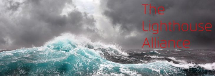Software Audit Professional – Lighthouse Mitglieder erhalten Zertifikat