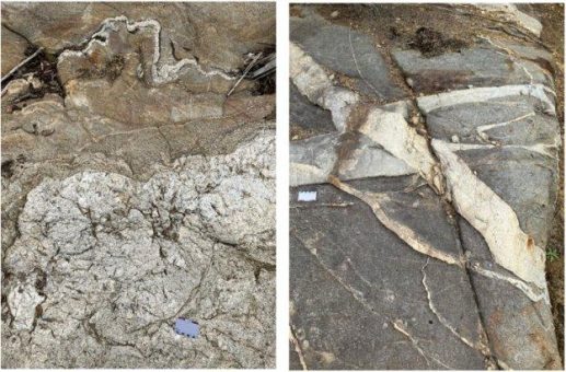 First Lithium Minerals erwirbt neue Bergbauclaims beim Projekt Lidstone mittels Abstecken