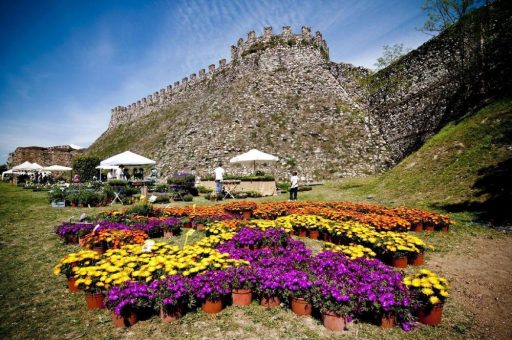 Frühling in der Provinz Brescia: Farbenrausch und Rosenduft