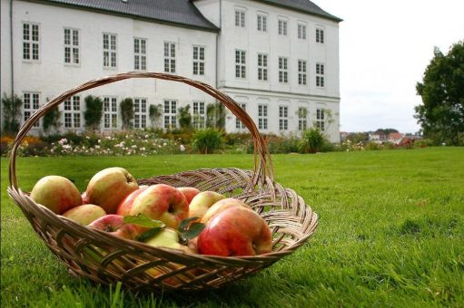 Festival für Dänemarks Nationalapfel