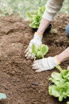 Tentacontrol GmbH – Erweiterungen des Zertifizierungsangebots im Bereich Nachhaltigkeit