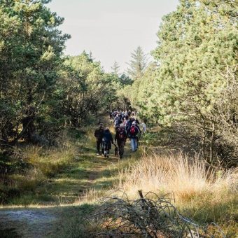 Neue Premiumwanderroute an der dänischen Nordsee