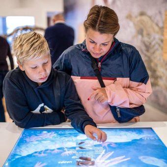 Neues Besucherzentrum bei UNESCO Weltnaturerbe Stevns Klint eröffnet