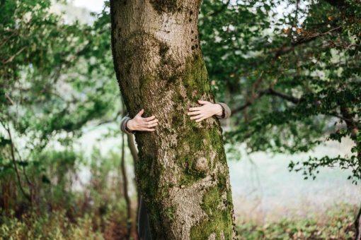 Waldbadeangebot am 23. Juni 2023 von 18 bis 20 Uhr im Riefenbachtal in Bad Harzburg