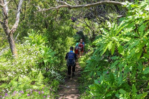 Überraschend, persönlich, nachhaltig:   Mit Local Guides unterwegs auf der Atlantikinsel Madeira
