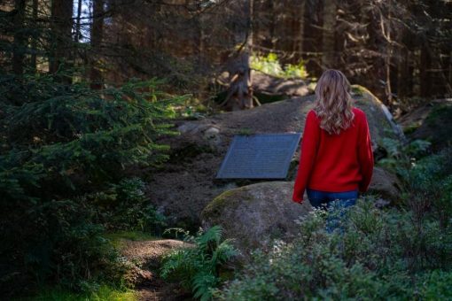 Wanderung entlang des Winterberghangwegs zur Luisenbank