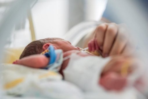 Studie liefert wichtige Hinweise für die Behandlung von Frühgeborenen mit bronchopulmonaler Dysplasie