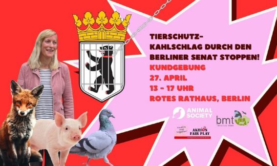 Tierschutz-Kahlschlag durch den Berliner Senat stoppen!
