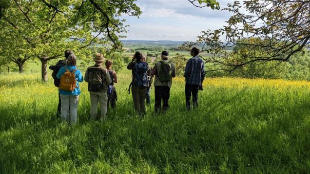 Birding ist im Trend: Was braucht es zur Vogelbeobachtung?