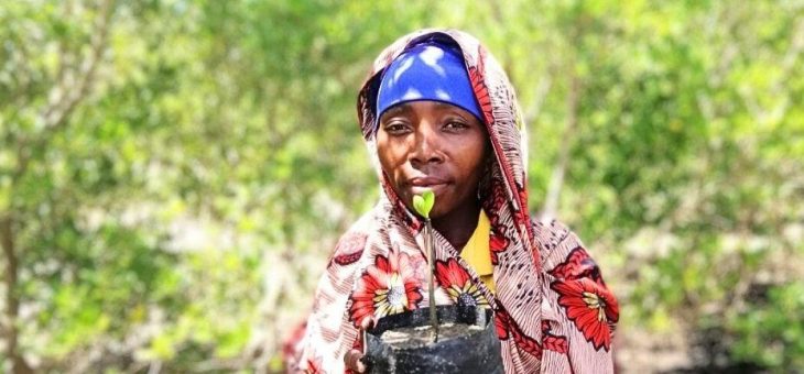 DRA setzt sich für besseren Küstenschutz in Mosambik ein