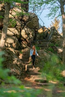 Wanderung entlang des Buchenwalds zur Luisenbank