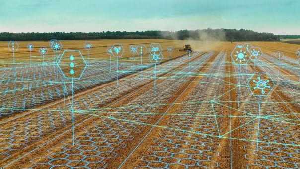 Mehr Effizienz in der Bewirtschaftung großer landwirtschaftlicher Flächen