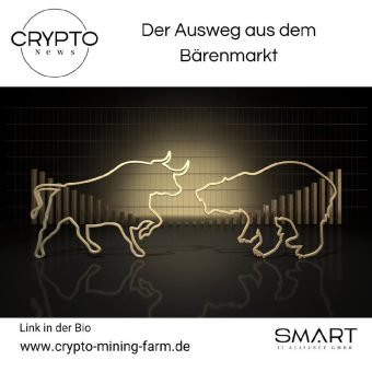 Der Ausweg aus dem Bärenmarkt
