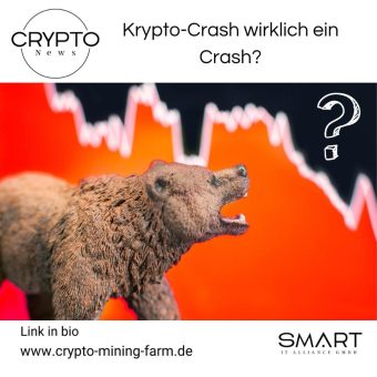 Krypto-Crash wirklich ein Crash?