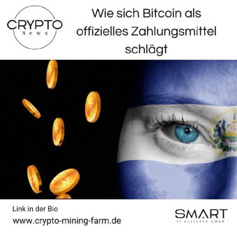 Wie sich Bitcoin als offizielles Zahlungsmittel schlägt