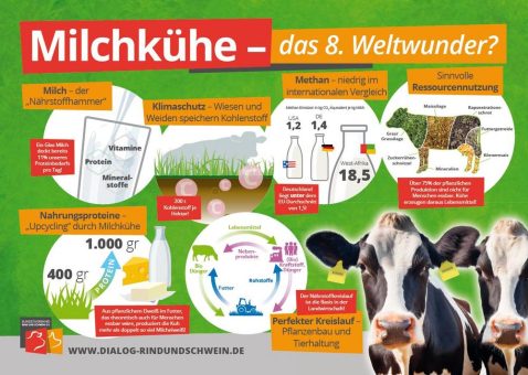 BRS zum Weltmilchtag: Milchkühe sind das 8. Weltwunder