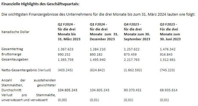 Turnium Technology Group Inc. meldet 15 % Umsatzwachstum im Vergleich zum Vorjahr bei den Finanzergebnissen des zweiten Quartals 2024