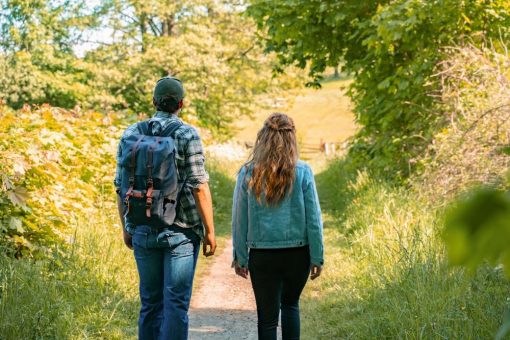Wanderung durch die Gestütswiesen