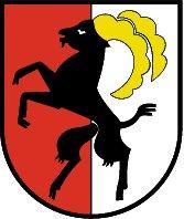Achtung Mayrhofener: Holen Sie sich Ihre My-Domain