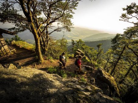Wanderreisen in den Schwarzwald – zu Fuß ins Glück
