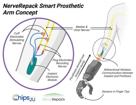 Wie Bioelektronik die Humanmedizin der Zukunft revolutionieren kann