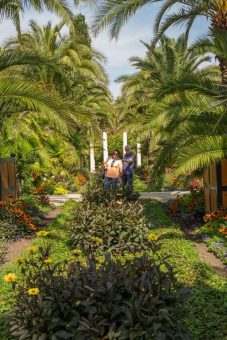 Bad Pyrmont – mediterranes Flair mitten in Deutschland