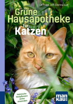 Balsam für die Katzenseele