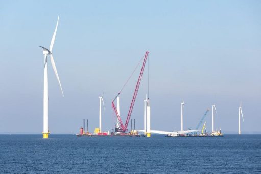 Leitungsmanagement und -schutz für erneuerbare Energien