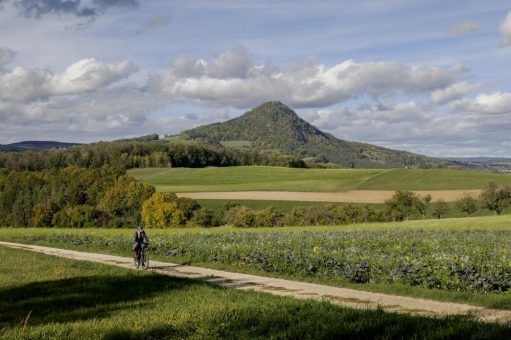 Naturerlebnisse in Konstanz und am Westlichen Bodensee – Wanderungen, Radtouren und Ausflüge auf dem Wasser.