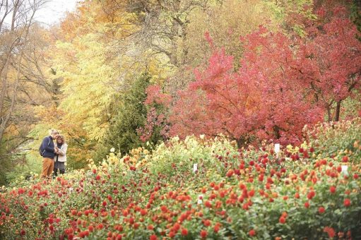 Goldener Herbst in Konstanz