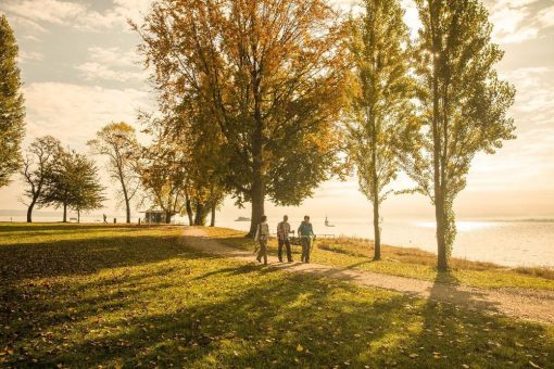 Premiumwandern am Westlichen Bodensee: NaturErlebnisse & SinnesMomente