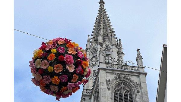Bunte Stadtdekoration: Konstanzer BlumenBälle sind zurück