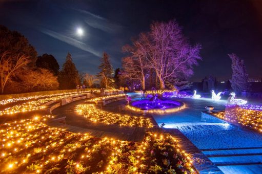 Konstanzer Winterzauber & Weihnachtsmarkt am Bodensee