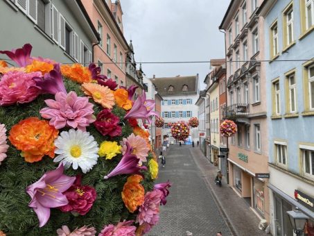 Konstanz blüht auf: Wiederkehr der beliebten, farbenfrohen Stadtdekoration