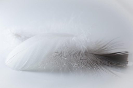 Angestellte gegen „Light-Apotheken“