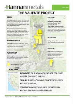 Hannan beginnt mit 79 Linienkilometern geophysikalischer Untersuchung auf fünf porphyr-epithermalen Zielen in Valiente, Peru