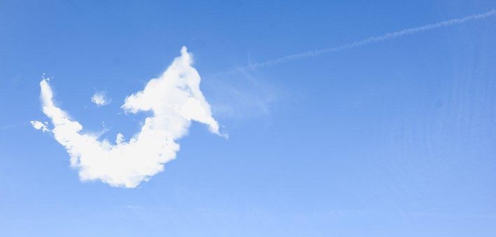 Cloud-Services für den Mittelstand: Arvato Systems gründet ‘AWS Business Group’