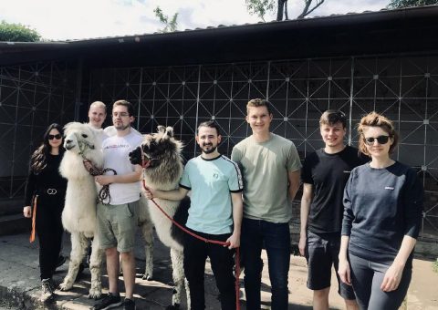 Leadership an der Hochschule Worms – Führungstraining mit Lamas