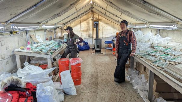 Aston Bay: Sommerbohrprogramm auf Storm bringt weitere Erfolge