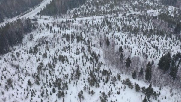 Portofino Resources übernimmt South of Otter-Goldprojekt vollständig