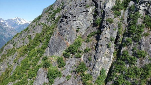 Über 100 g/t Gold: Goliath Resources meldet die nächste Neuentdeckung!