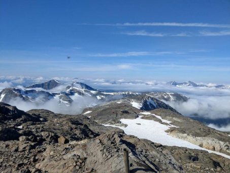 636,00 g/t Gold: Goliath Resources findet Jackpot