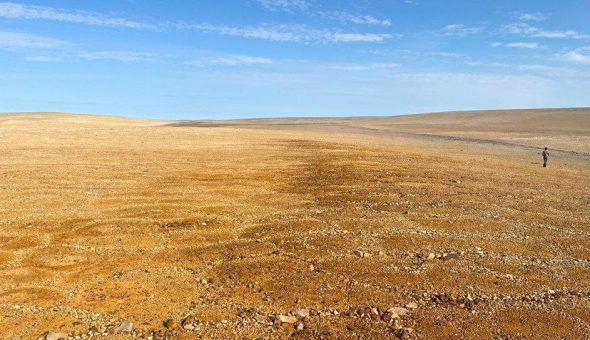 American West bestätigt regionales Potenzial mit bis zu 38,2% Cu und 30,8% Zn auf Tempest