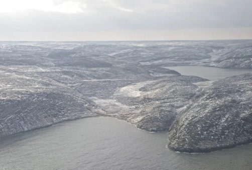 Arctic Fox Lithium: Beim Nachbarn knallen die Sektkorken