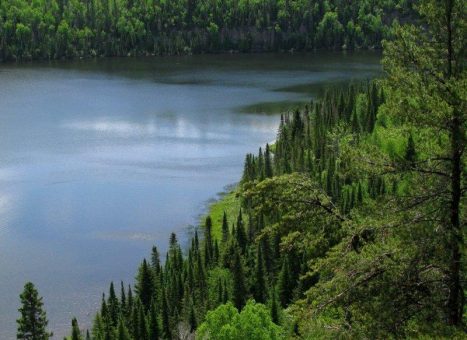 Newpath Resources schickt erstes Team aufs Lithiumprojekt Alpha/Bravo