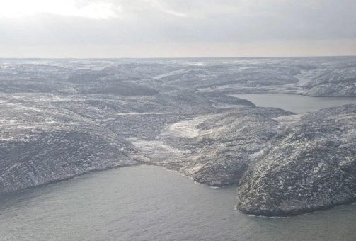 Arctic Fox Lithium will eigene Präsenz in den Sozialen Medien ausbauen