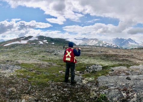 P2 Gold: 3D-Modell identifiziert neue Explorationsziele auf Kupfer- Goldprojekt BAM